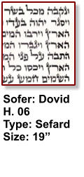 Sofer: Dovid H. 06 Type: Sefard Size: 19”