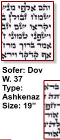 Sofer: Dov W. 37 Type: Ashkenaz Size: 19”