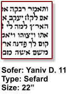 Sofer: Yaniv D. 11 Type: Sefard Size: 22”