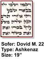 Sofer: Dovid M. 22 Type: Ashkenaz Size: 19”