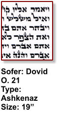 Sofer: Dovid O. 21 Type: Ashkenaz Size: 19”