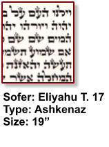 Sofer: Eliyahu T. 17 Type: Ashkenaz Size: 19”